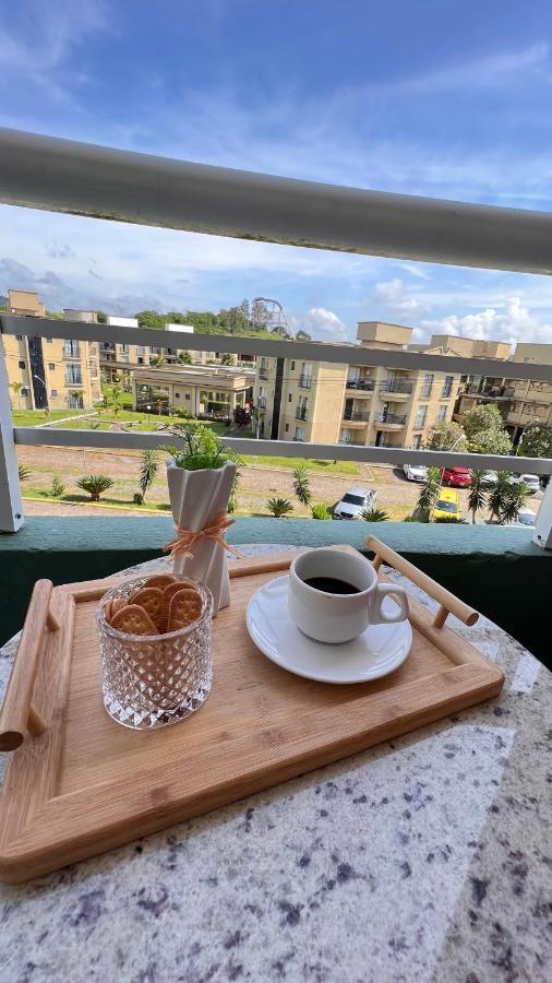 Flat No Aldeia Das Aguas Park Resort Barra do Piraí 外观 照片